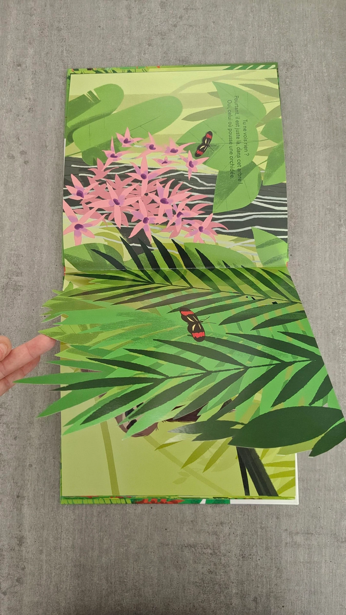 Libro "Escondido en la selva tropical" - Álbum para niños – photo 5